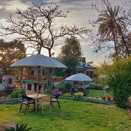Forest Eco Lodge Mount Abu Bagian luar foto