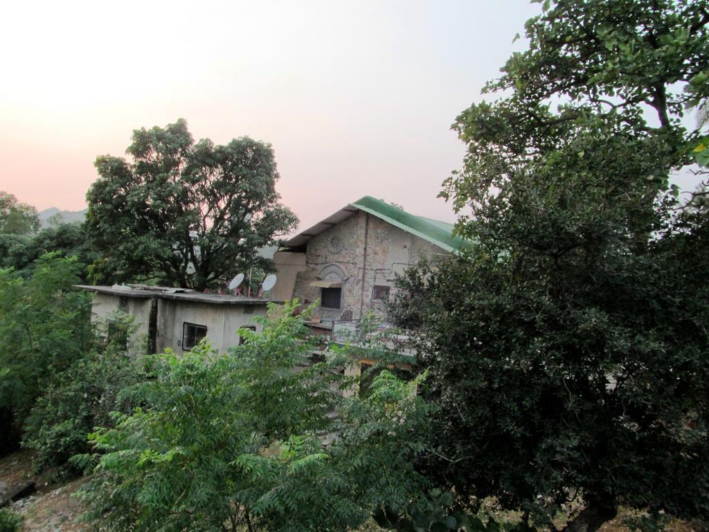 Forest Eco Lodge Mount Abu Bagian luar foto